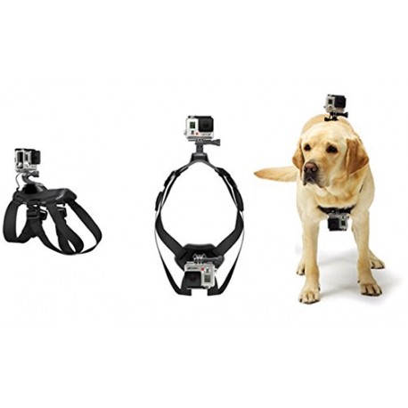 Accesoire pour camera Go-Pro / harnais pour chien