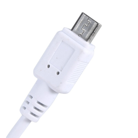 Adaptateur Ethernet vers Micro USB