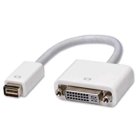 Adaptateur mini-DVI vers DVI