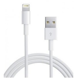 Pack chargeur secteur 1A 1 Port USB 5W + 1 Câble Lightning pour iPhone 1  mètre