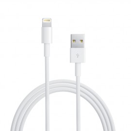 Chargeur iPhone 6 : câble et prise secteur