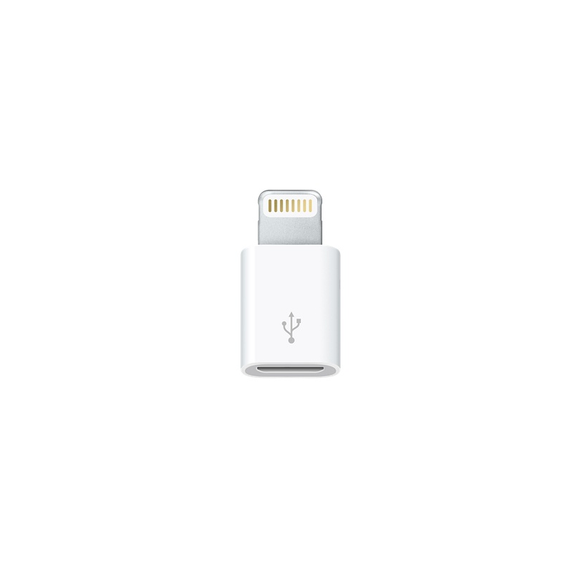 marque generique - Adaptateur Lightning vers HDMI TV AV Câble Pour iPad  iPhone [Connectique micro] - Câble Lightning - Rue du Commerce