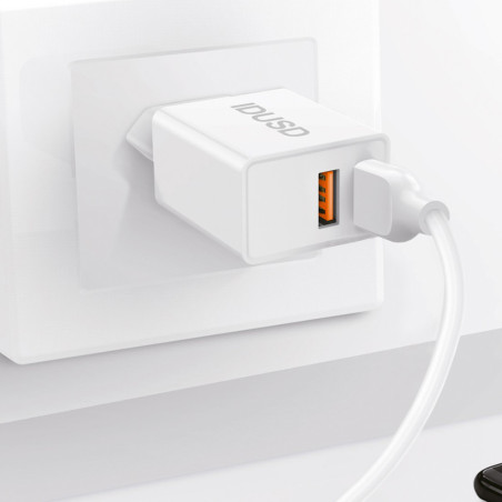 Prise secteur 2 ports + câble lightning - IDUSD