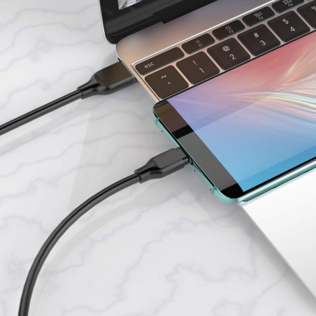 Câble USB-C Noir 2 m - IDUSD