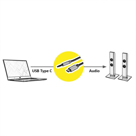 Câble USB-C vers jack