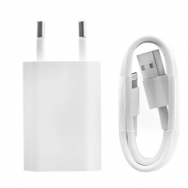Accessoires de charge iPhone SE 2020 : câble original, prise secteur,  batterie externe