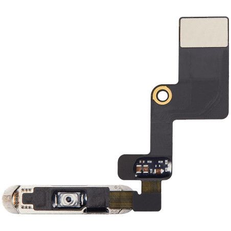 Nappe bouton home iPad 10 argent