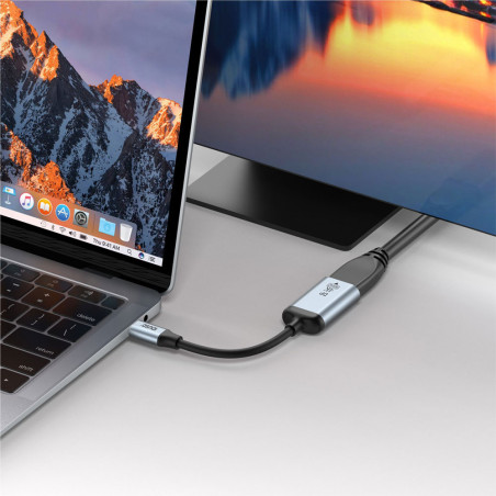 Adaptateur USB-C vers DisplayPort 60Hz 18cm - IDUSD