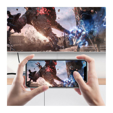 Câble tressé USB-C vers DisplayPort 1,8m - IDUSD