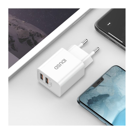 Prise secteur USB 2 ports 12W 2.4A - IDUSD