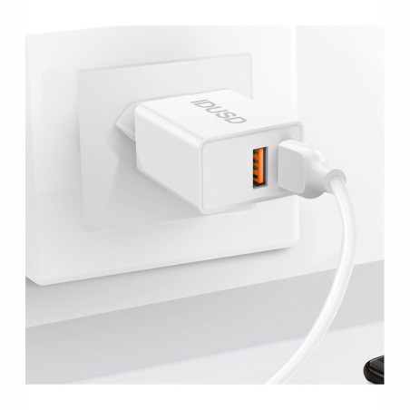 Prise secteur USB 2 ports 12W 2.4A - IDUSD
