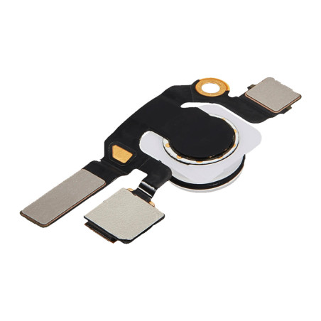 Nappe flash iPad Pro 11" 5ème gén / 13" 7ème gén (2024)