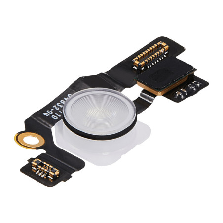 Nappe flash iPad Pro 11" 5ème gén / 13" 7ème gén (2024)